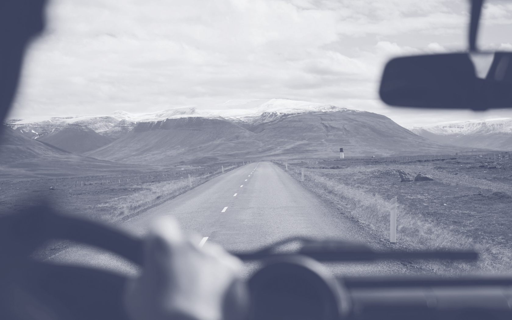 An illustrative sketch of a flower